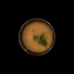 101 Miso Soup Vegetarisch